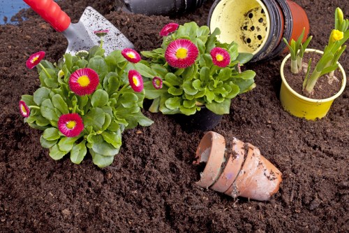 Soft landscaping project for a Rotherhithe garden with planting and lawn work