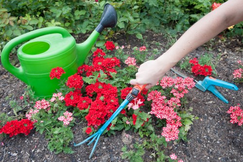 Worker safety and ethical landscaping practices in Rotherhithe