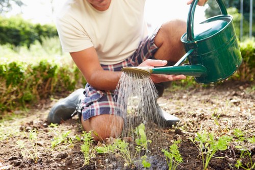 Drainage work improving a waterlogged garden in Rotherhithe