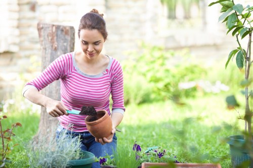 Protected checkout for Landscaping Rotherhithe landscaping services