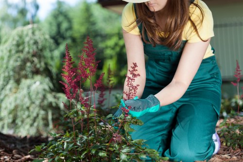 Low-maintenance artificial grass surface suitable for homes and businesses in Rotherhithe