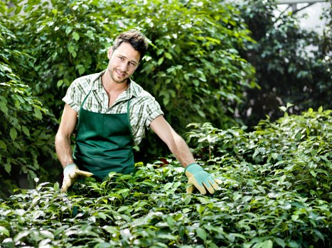 Planning a garden makeover with clear layout and access in mind