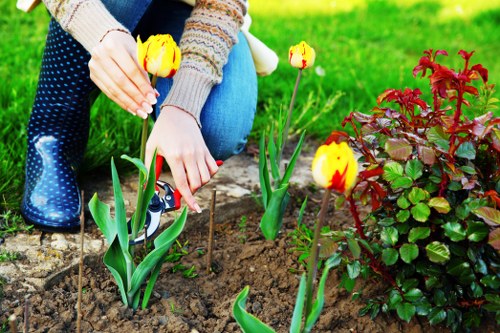 Image illustrating keyboard-accessible navigation for landscaping pages