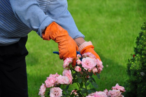 Local garden drainage assessment for a patio and lawn area