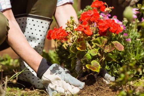 Free quote policy for Rotherhithe landscaping services