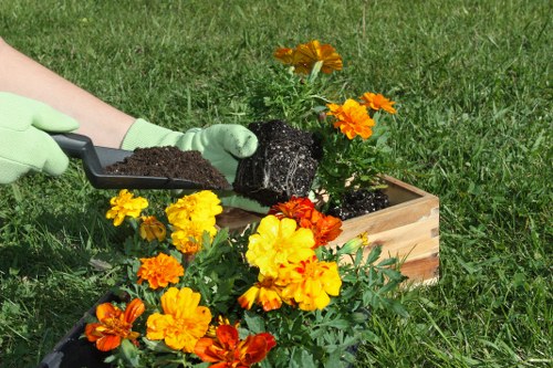 Modern garden landscaping for flats, terraces, and commercial properties in Rotherhithe